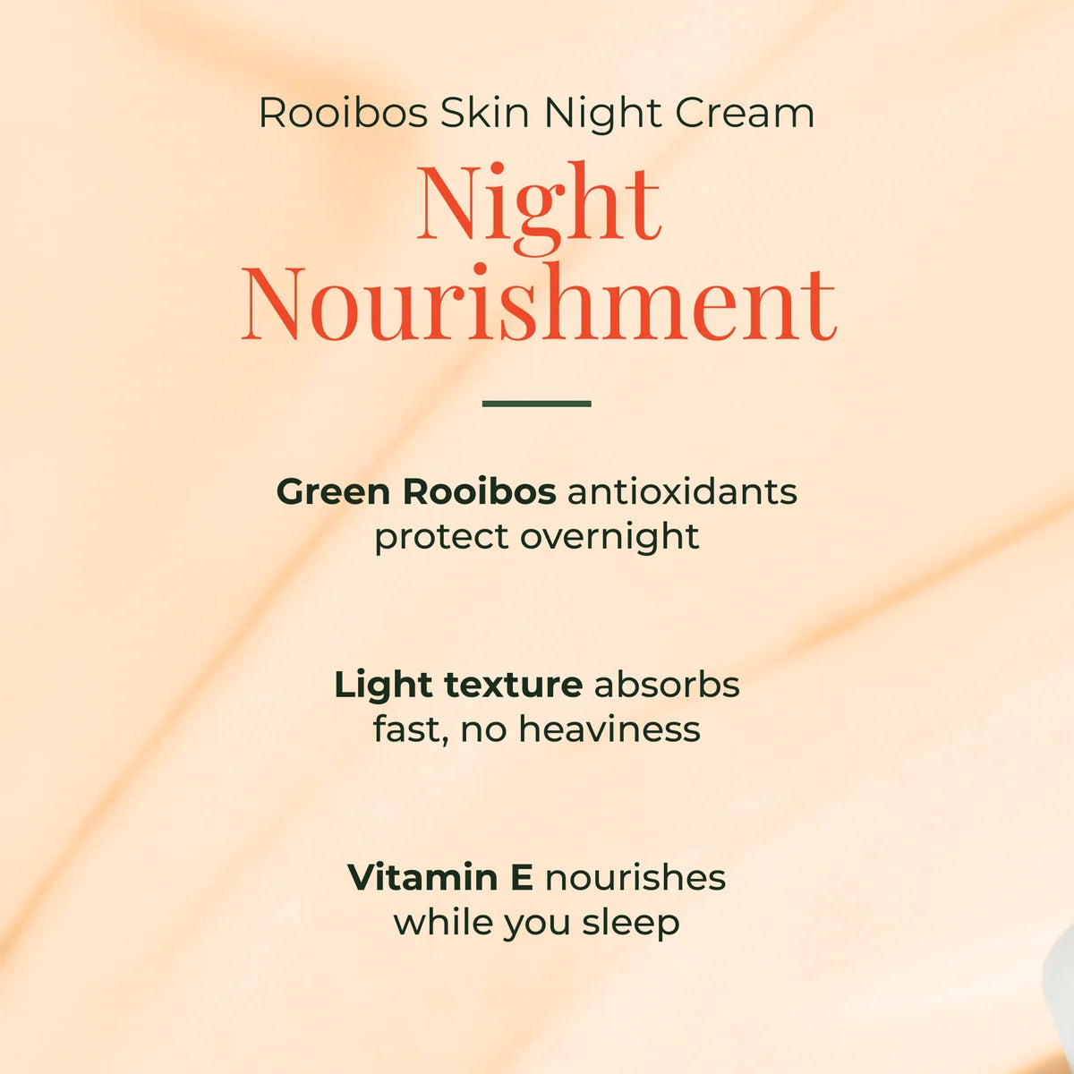 Rooibos Skin Night Cream |Normal Skin
