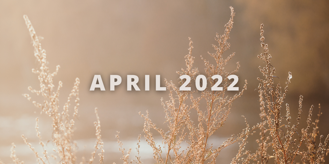 ANNIQUE Exclusive Offers April 2022