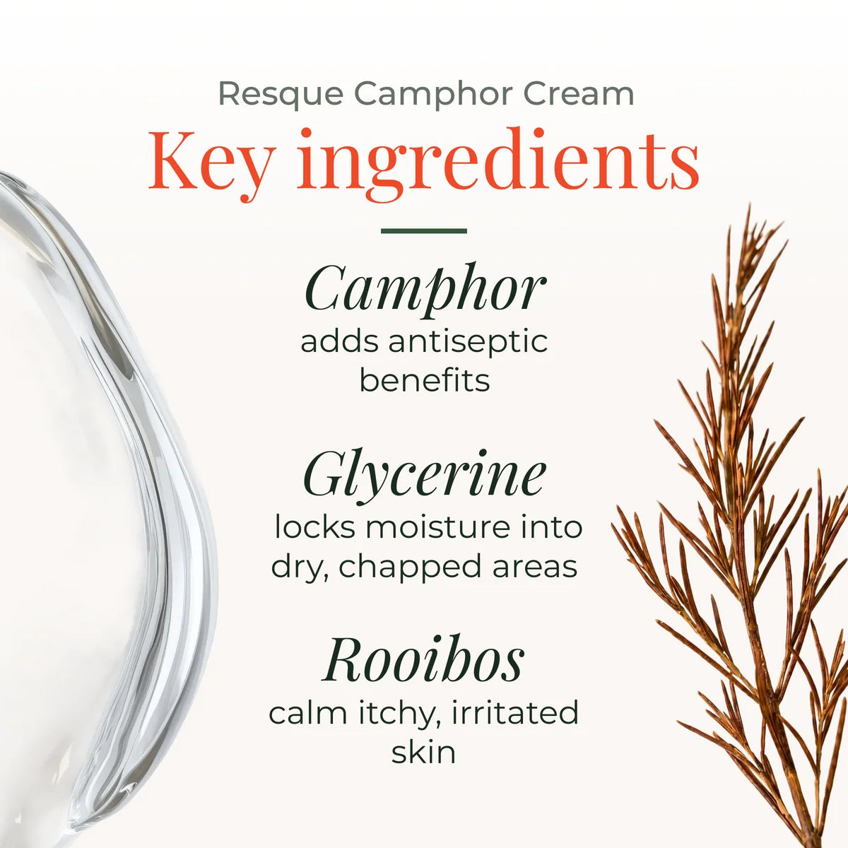 Camphor Cream