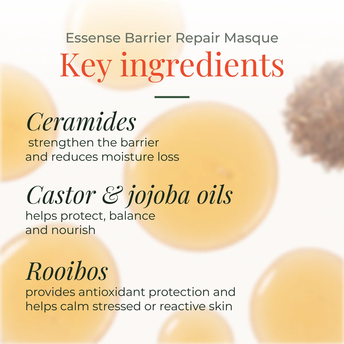 Barrier Repair Masque