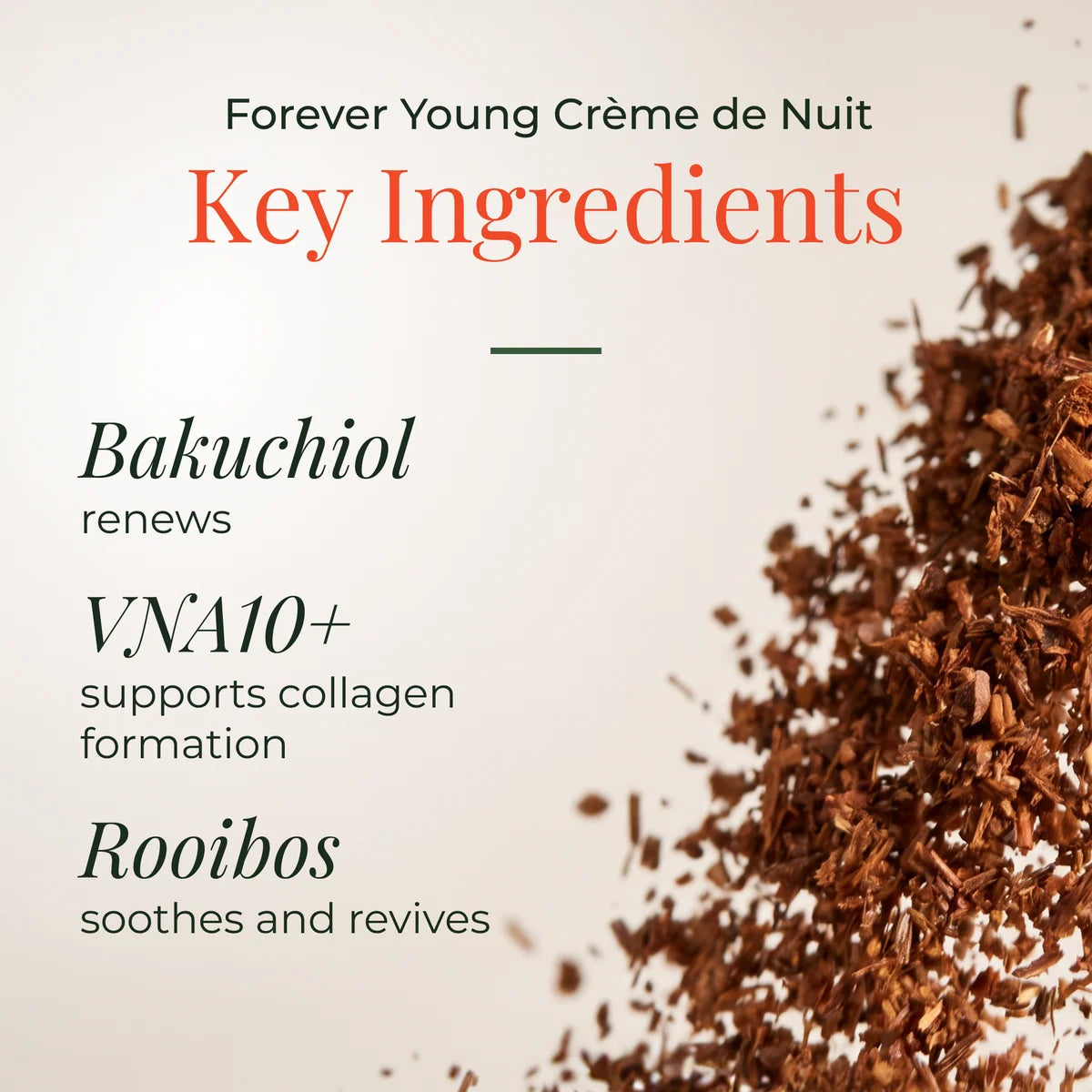Crème de Nuit 50ml