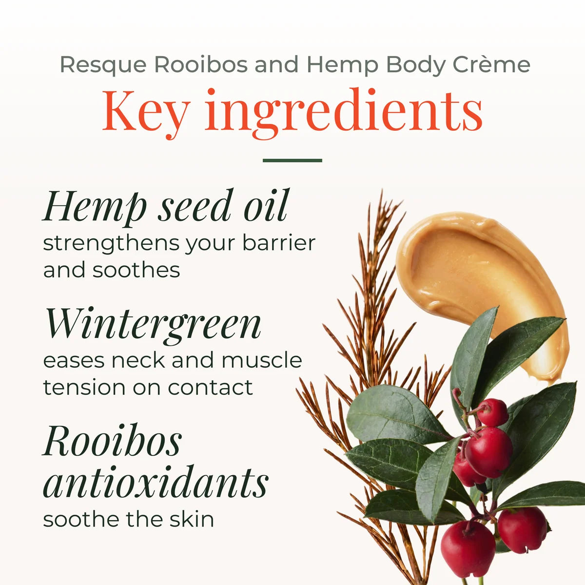 Rooibos and Hemp Body Crème 250ml