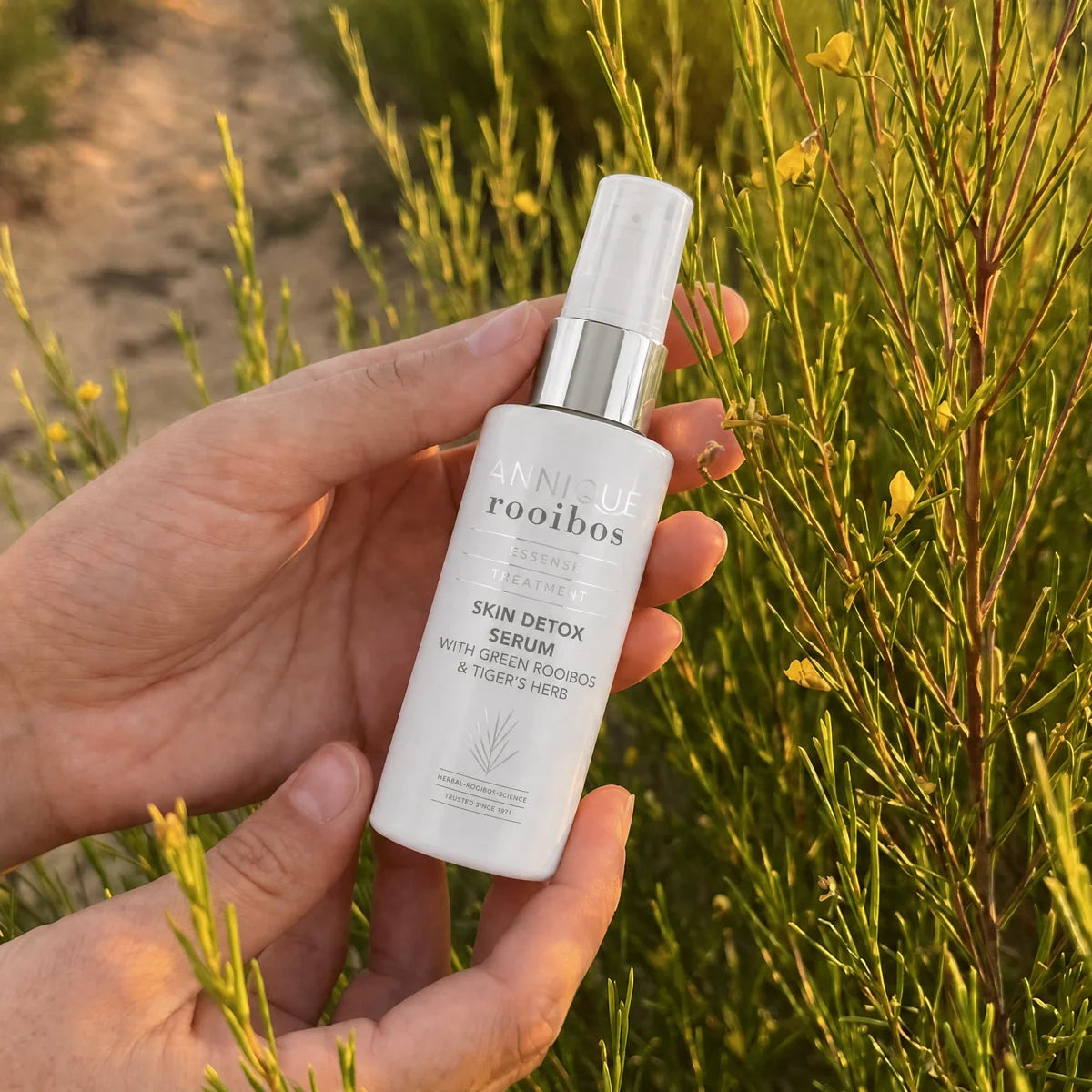 Skin Detox Serum