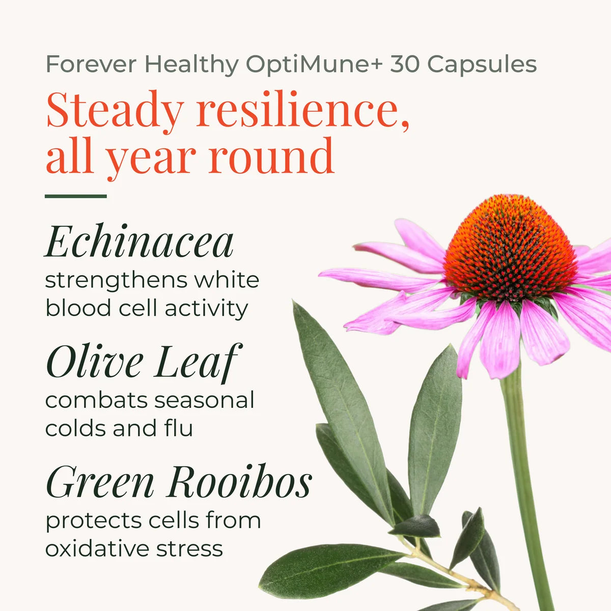 OptiMune: Immune Support