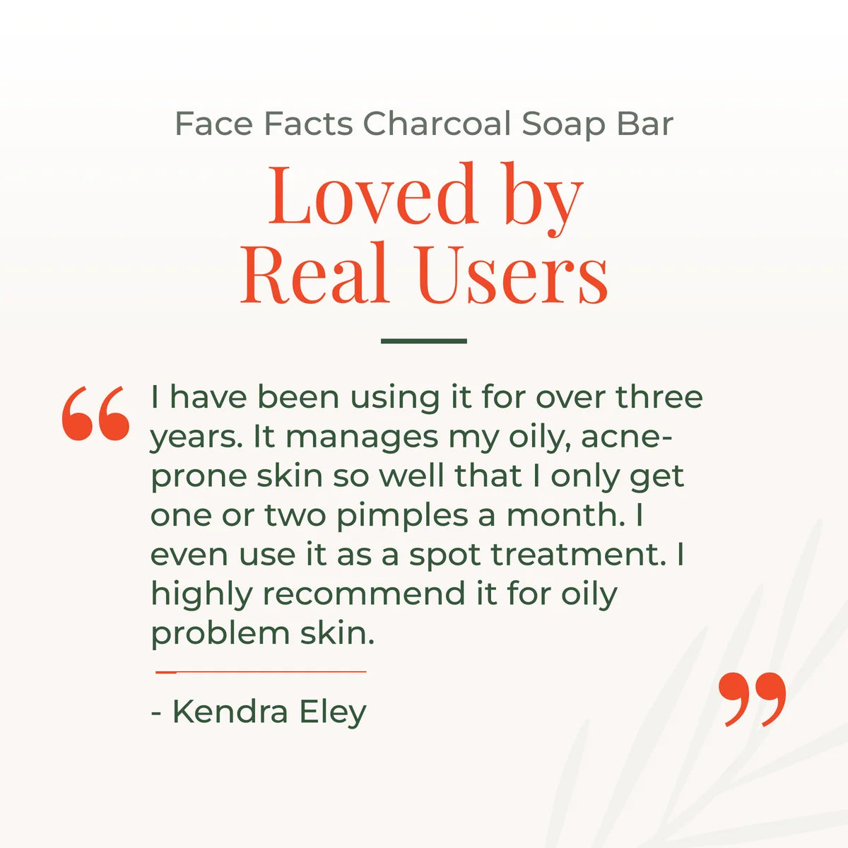 Face Facts Charcoal Cleansing Soap Bar |Oily, Problem Skin