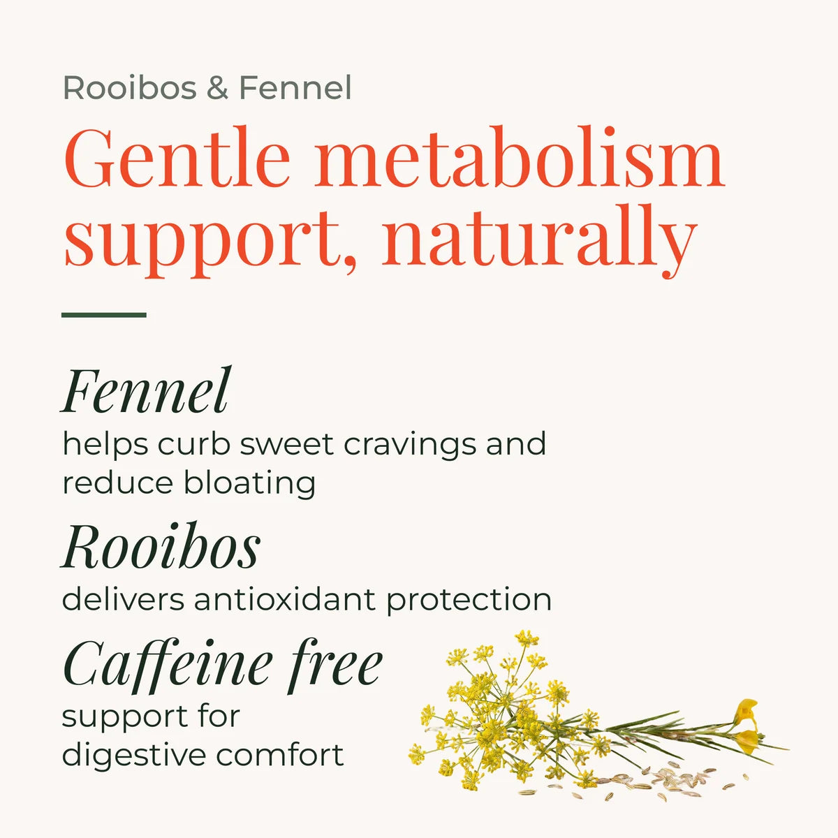 Rooibos & Fennel Tea