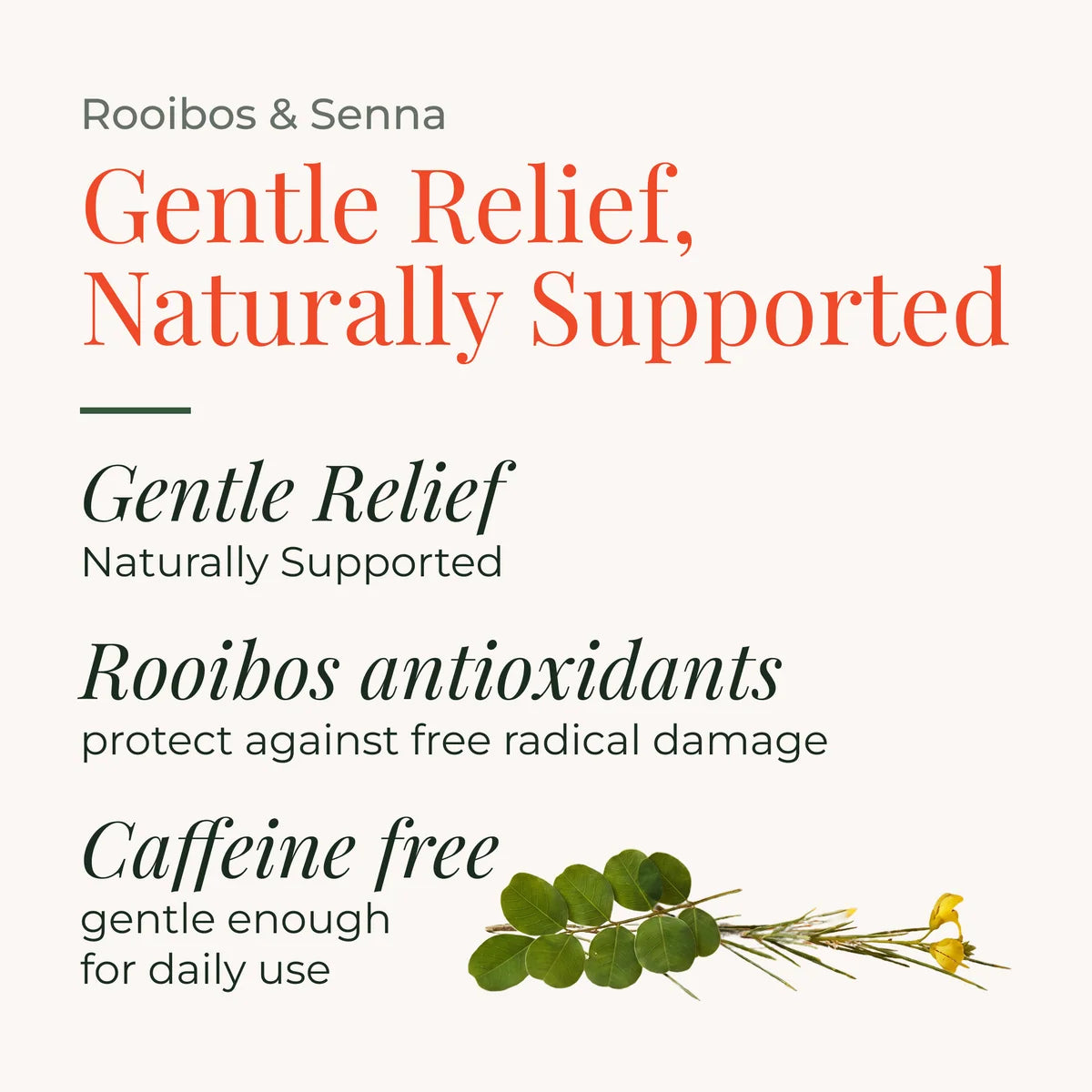 Rooibos & Senna