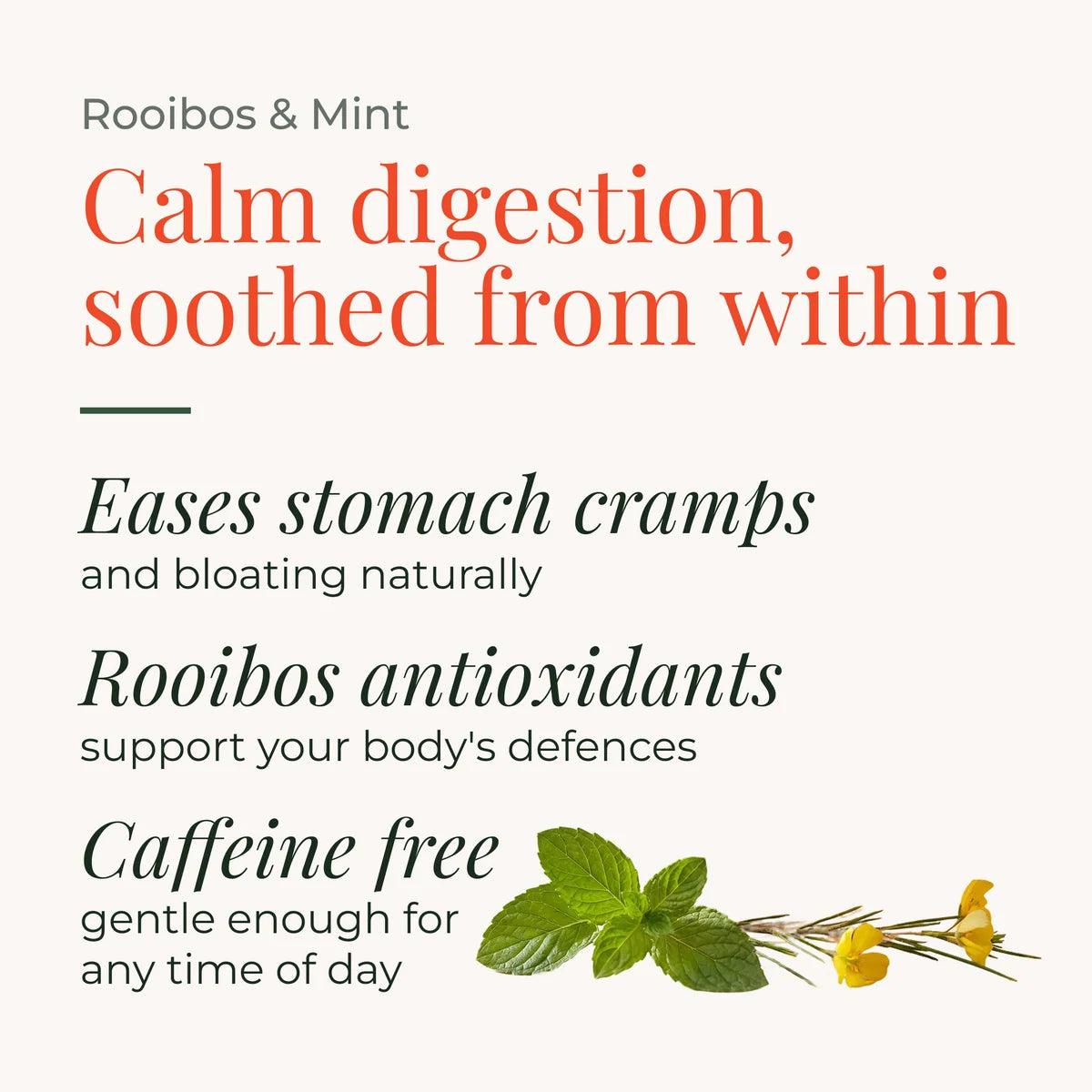 Rooibos & Mint Tea
