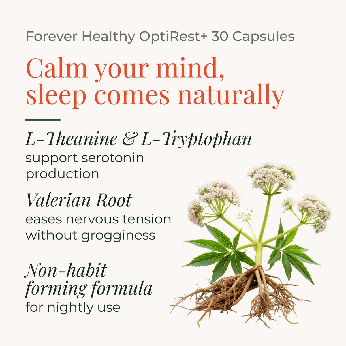 OptiRest - Rest/Relaxation