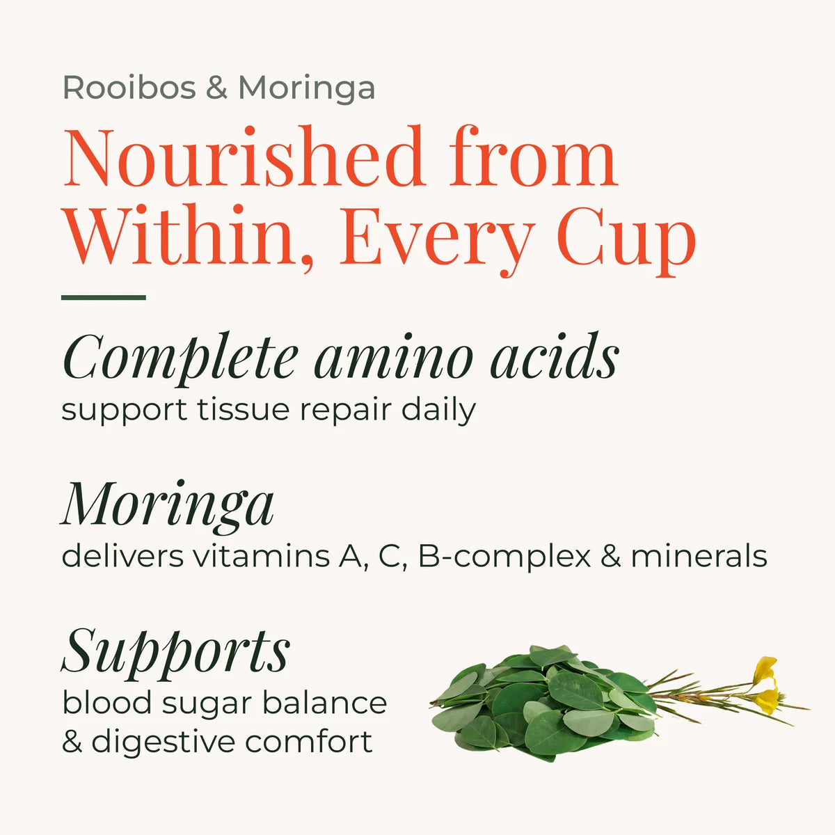 Rooibos & Moringa Tea
