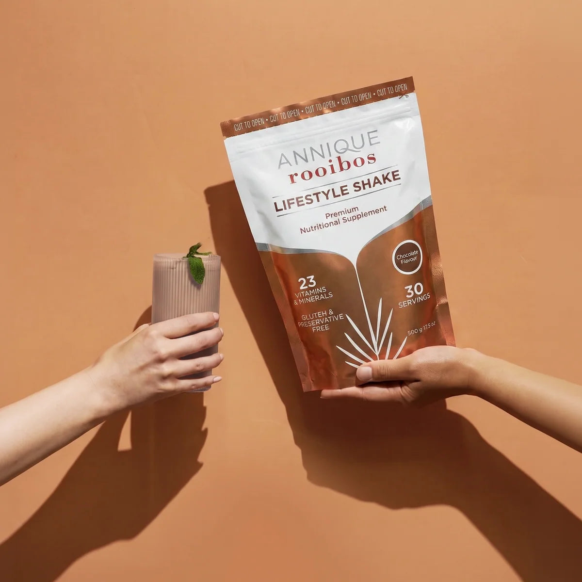 Lifestyle Shake 500g