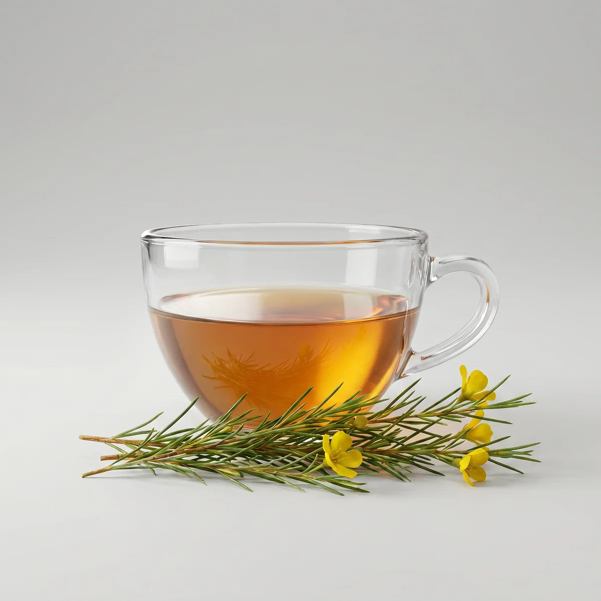 Green Rooibos Tea