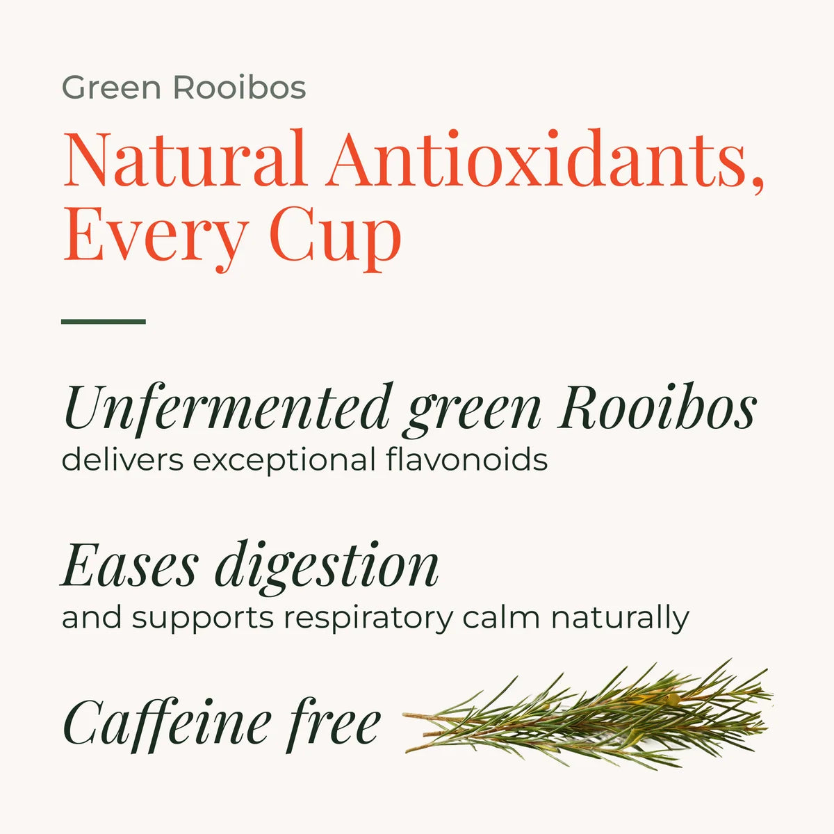 Green Rooibos Tea