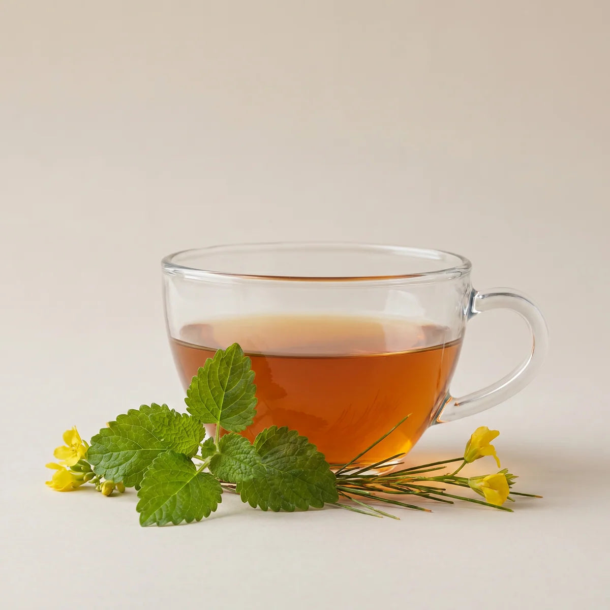 Rooibos & Melissa Leaf Tea