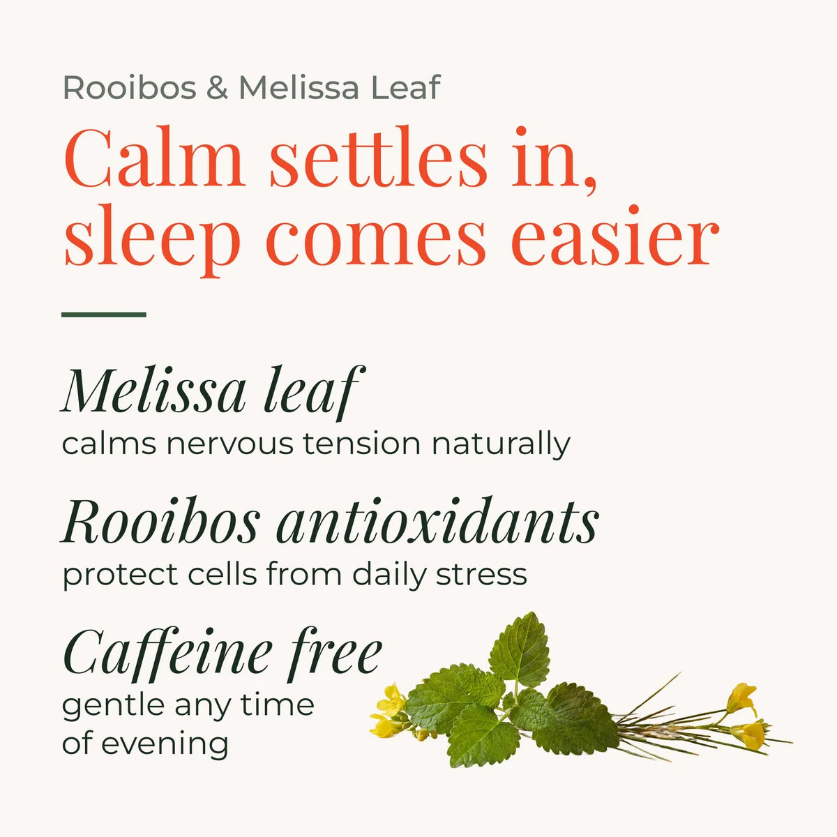 Rooibos & Melissa Leaf Tea